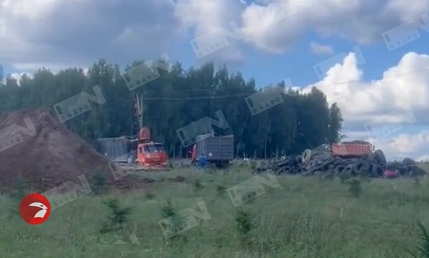 В Лежневском районе коровы заболели опасной болезнью